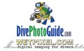 Wetpixel.com/DPG Photo Contest deadline Photo