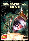 Sensational Seas DVD Production Photo