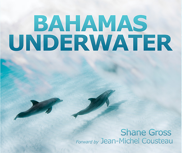 Bahamas Underwater on Wetpixel