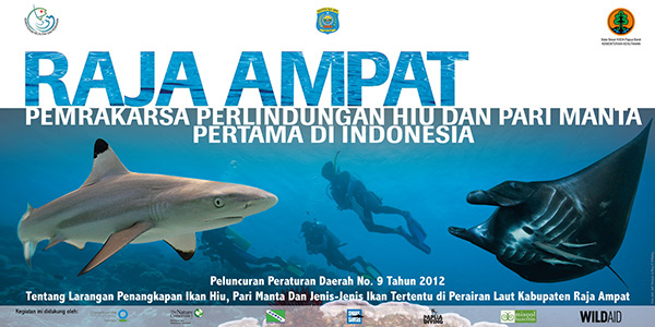 Raja Ampat Shark and Ray Sanctuary