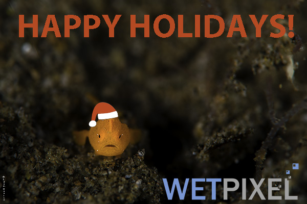 Happy Holidays 2019 on Wetpixel