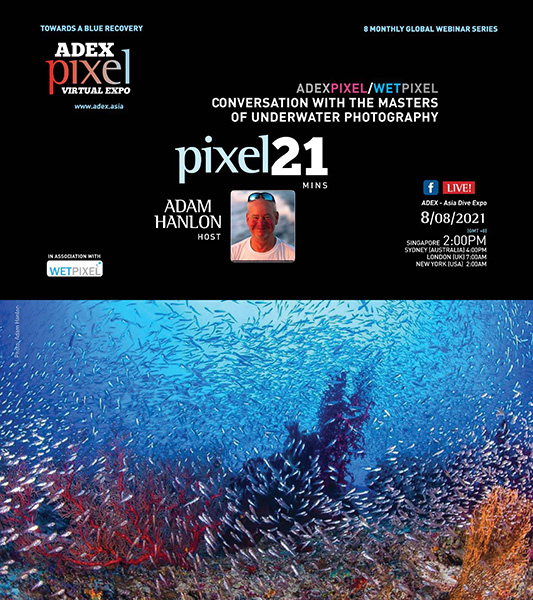 Adex Pixel/Wetpixel 