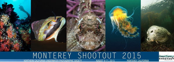 2015 Monterey Shootout on Wetpixel
